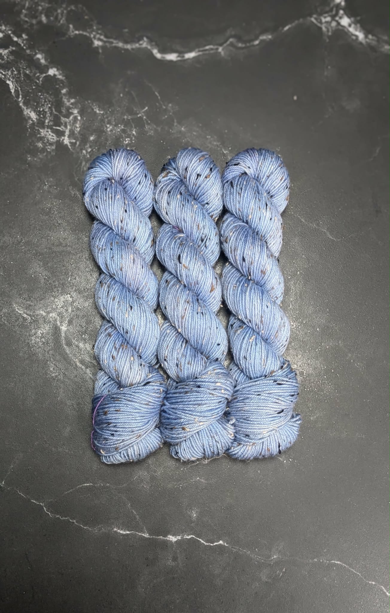Delphinium blue 2026