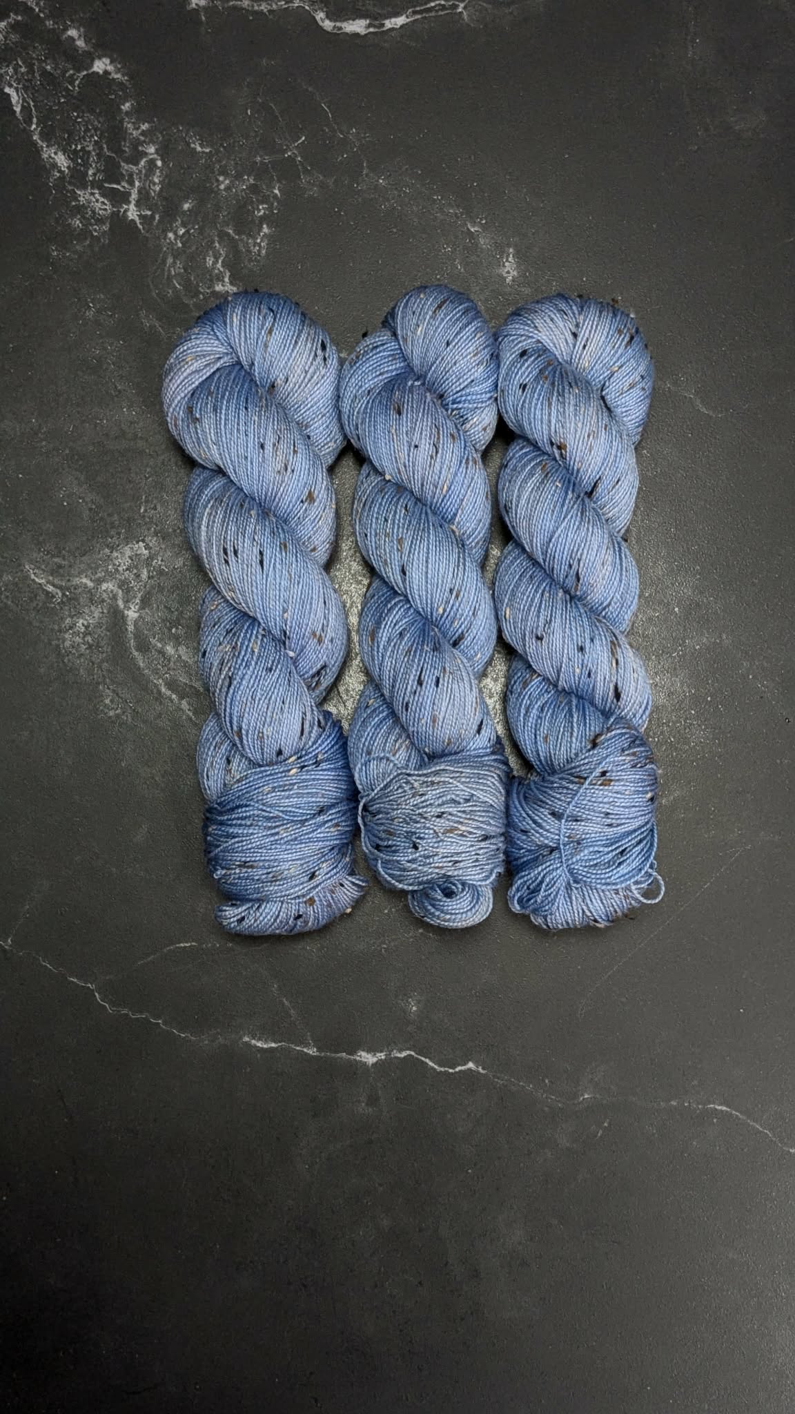 Delphinium bluw 2026